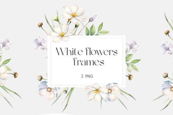 Download Watercolor White Wildflowers Frame - Color Collection