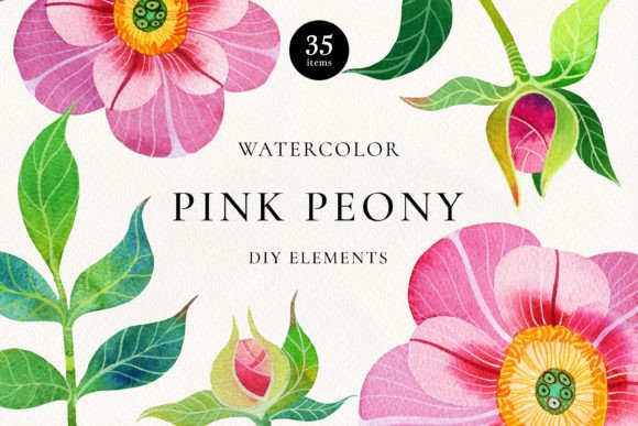 Download Pink Peony Watercolor DIY Elements - Color Collection