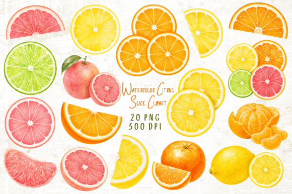 Download Watercolor Citrus Slice Clipart PNG - Color Collection