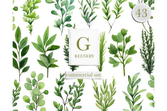 Download Watercolor Greenery Leaves Clipart - Color Collection