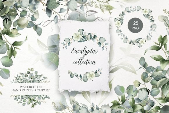 Download Eucalyptus Clipart. Watercolor Greenery - Color Collection