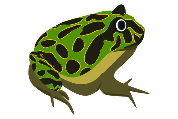 Download Tropical Toad. Colorful Spot Amphibia. W - Color Collection