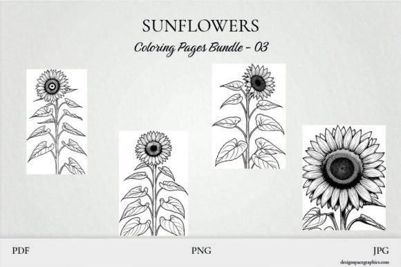 Download Sunflower Coloring Pages Pack Bundle 3 - Color Collection