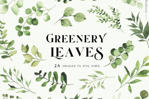 Download Green Leaves Watercolor Clipart Foliage - Color Collection