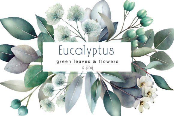 Download Eucalyptus Clipart. Watercolor Greenery - Color Collection