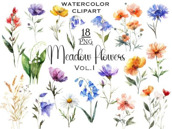 Download Meadow Wildflowers Watercolor Clipart V1 - Color Collection