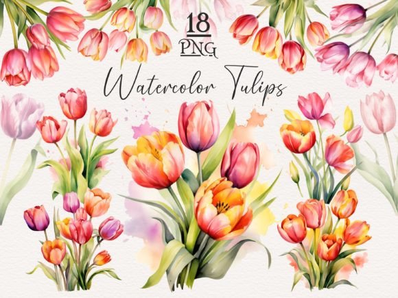 Download Watercolor Tulip PNG Bundle - Color Collection