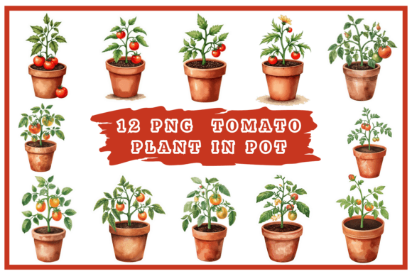 Download Tomatoes Watercolor Clipart Bundle #25 - Color Collection