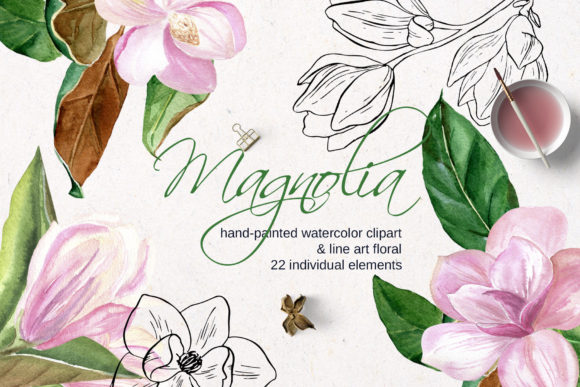 Download Pink Magnolia Watercolor, Lineart Flower - Color Collection
