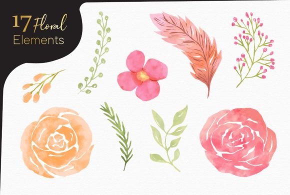 Download Watercolor Floral Elements - Color Collection