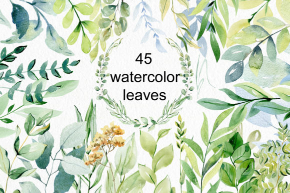 Download Watercolor Leaves Clipart. - Color Collection