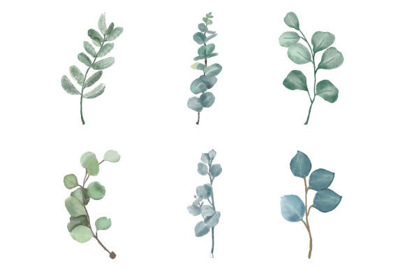 Download Watercolor Eucalyptus Clipart SVG PNG - Color Collection