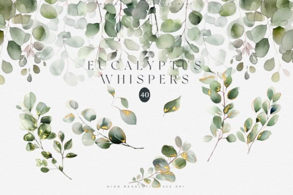 Download Watercolor Eucalyptus Clipart Set - Color Collection