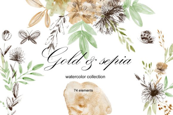 Download Gold and Sepia. Watercolor Clipart. - Color Collection