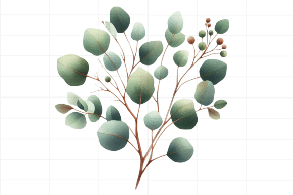 Download Eucalyptus Clipart. Watercolor Greenery - Color Collection